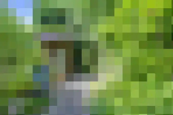 Elskamp 11 Odijk thumbnail 9