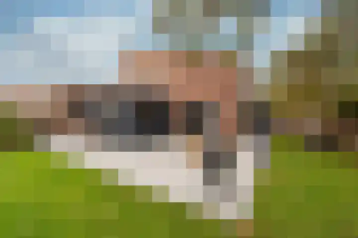 Elskamp 7 Odijk