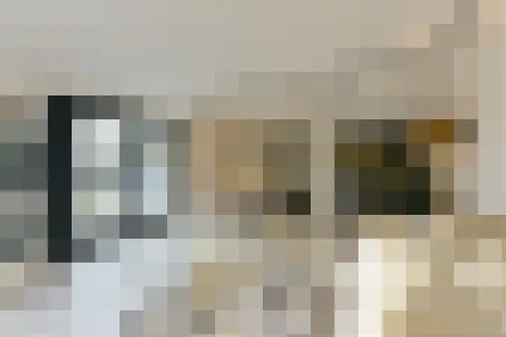 Elskamp 7 Odijk thumbnail 10