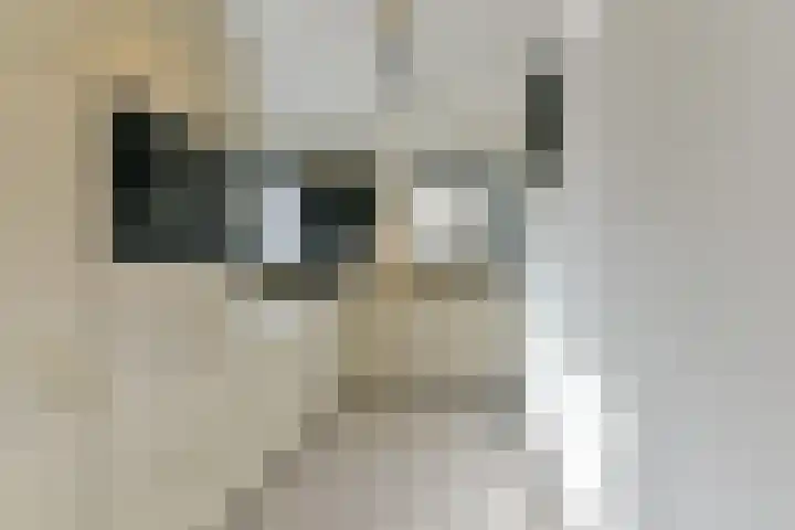 Elskamp 7 Odijk thumbnail 13
