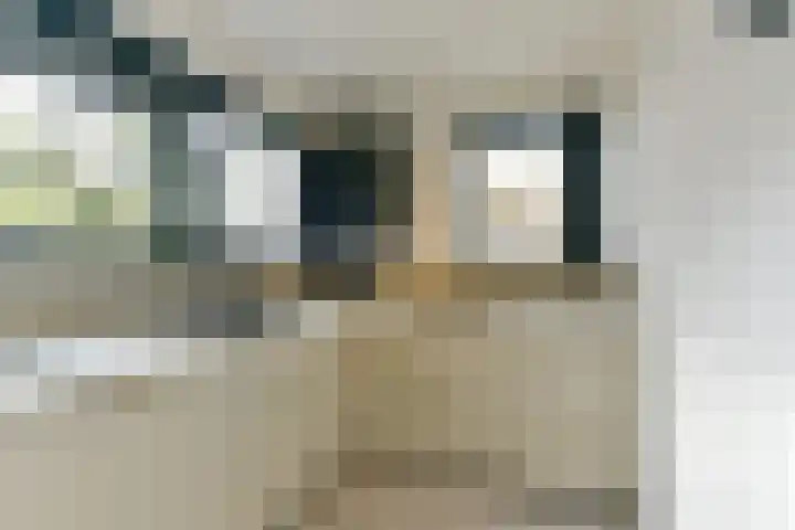 Elskamp 7 Odijk thumbnail 14