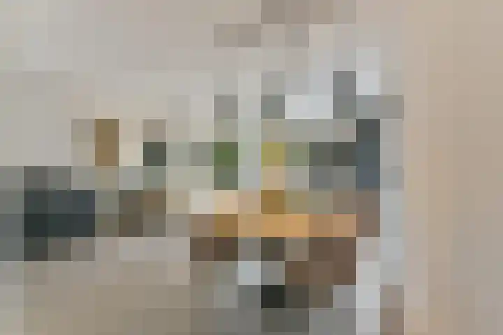 Elskamp 7 Odijk thumbnail 16