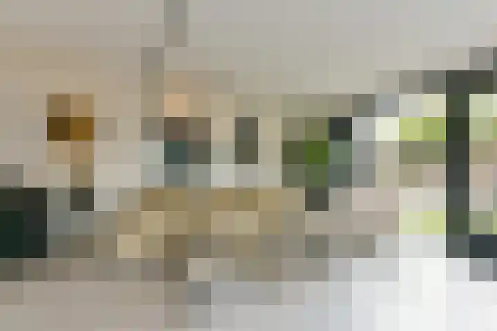 Elskamp 7 Odijk thumbnail 17