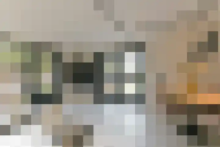 Elskamp 7 Odijk thumbnail 18