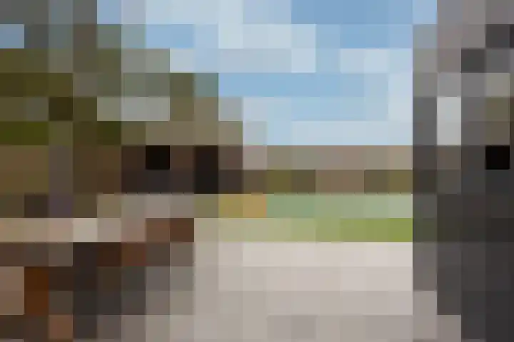 Elskamp 7 Odijk thumbnail 19