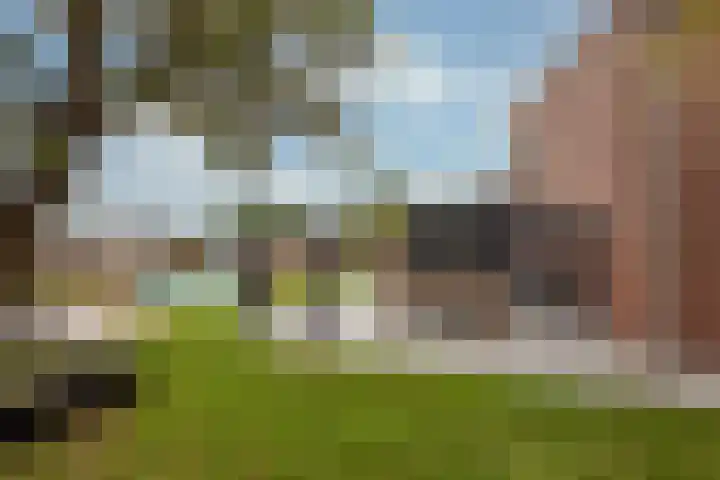 Elskamp 7 Odijk thumbnail 21
