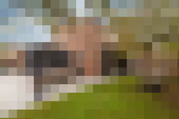 Elskamp 7 Odijk thumbnail 29