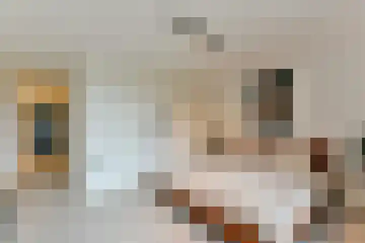 Elskamp 7 Odijk thumbnail 34