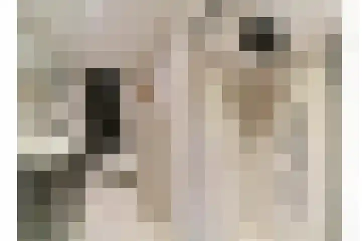 Elskamp 7 Odijk thumbnail 38