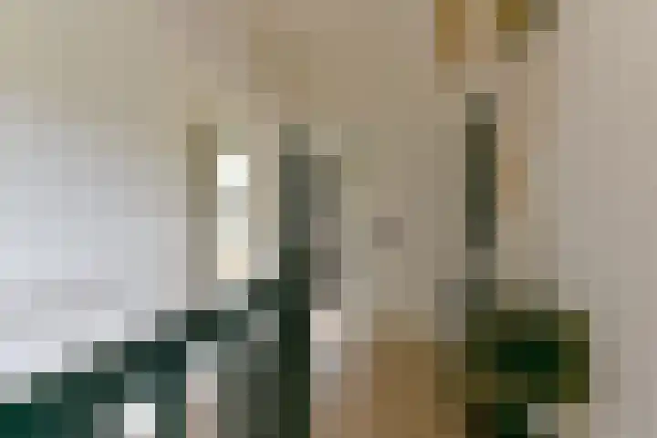 Elskamp 7 Odijk thumbnail 39