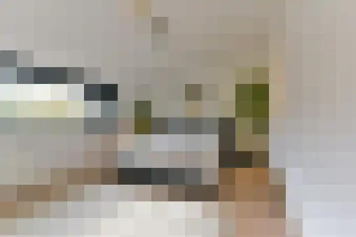 Elskamp 7 Odijk thumbnail 40