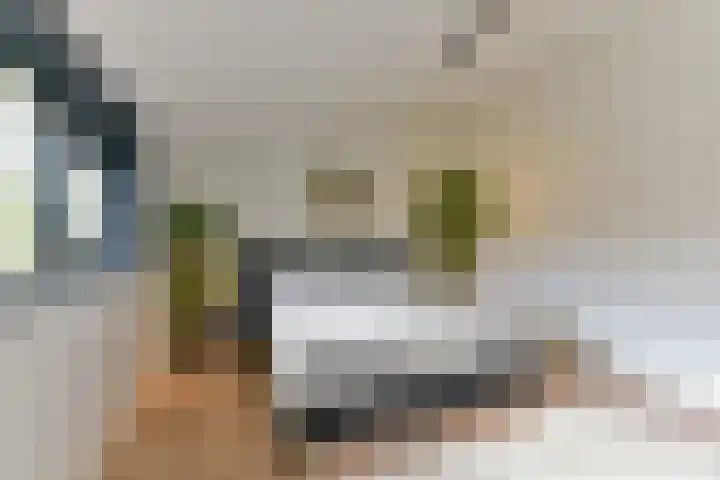 Elskamp 7 Odijk thumbnail 42