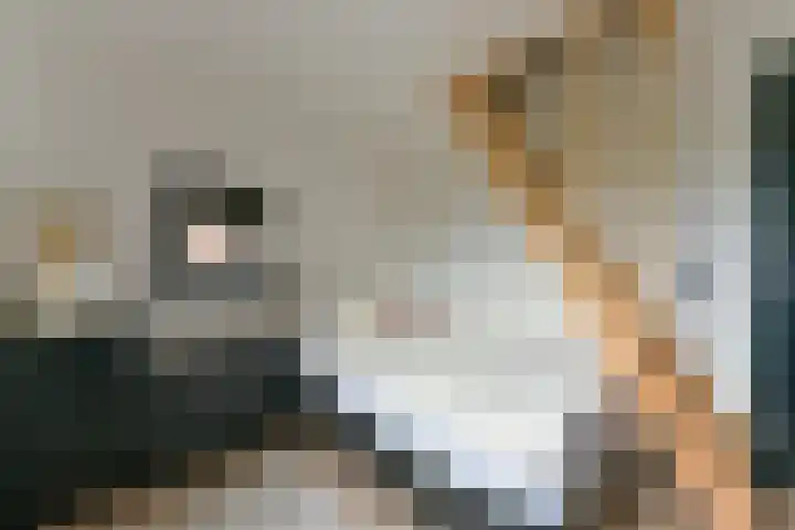 Elskamp 7 Odijk thumbnail 45