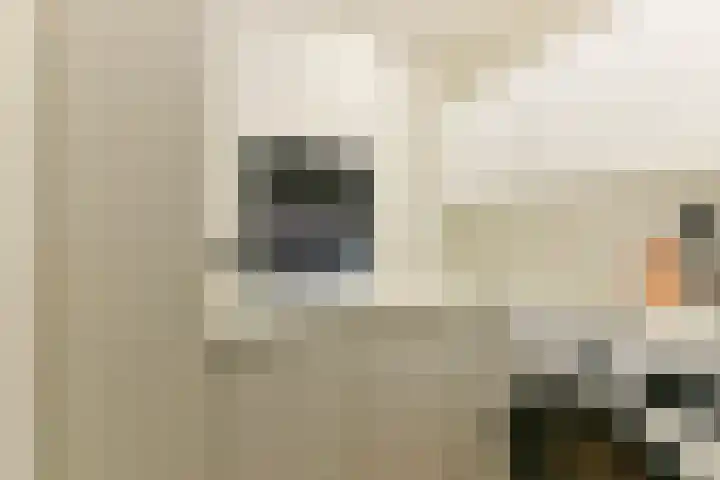 Elskamp 7 Odijk thumbnail 51