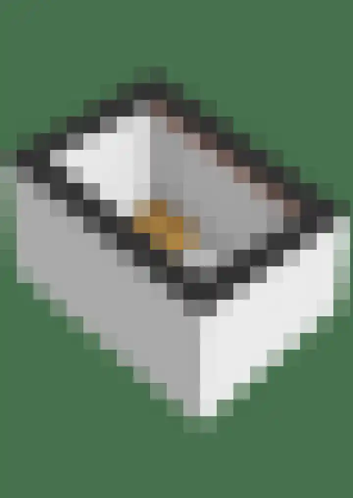 Elskamp 7 Odijk thumbnail 61