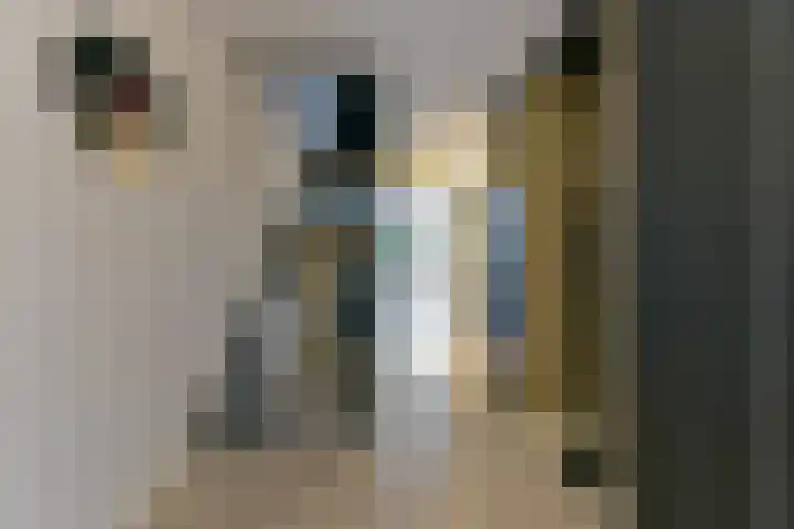 Elskamp 7 Odijk thumbnail 8