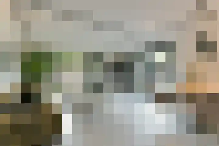 Elskamp 7 Odijk thumbnail 9
