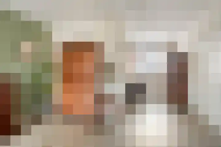 Elsland 1139 Wijchen thumbnail 6