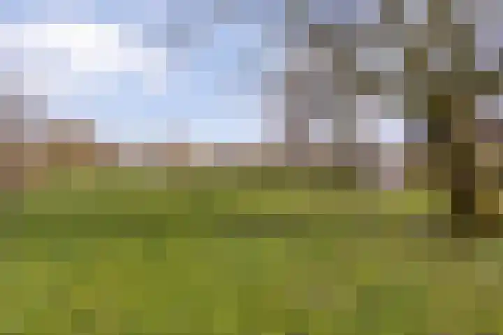 Elsland 1549 Wijchen thumbnail 32