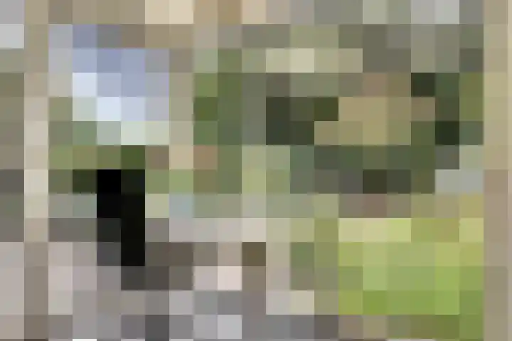 Elsmaathorst 27 Enschede thumbnail 4
