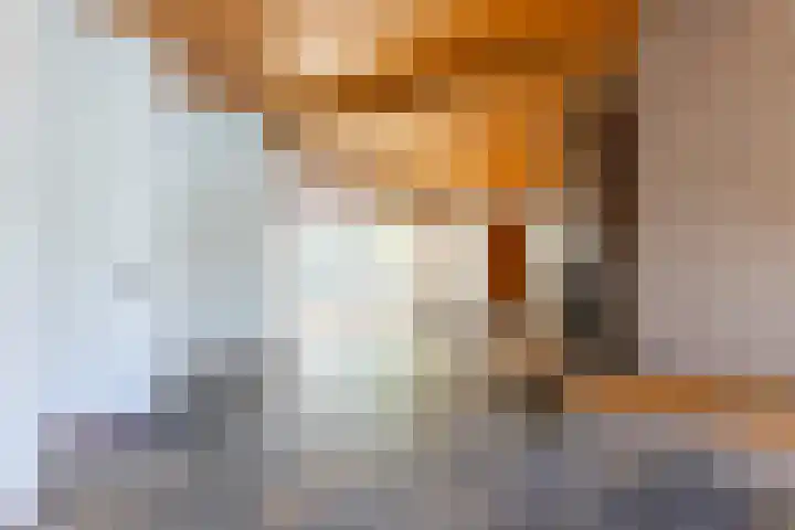 Elsmaathorst 37 Enschede thumbnail 13