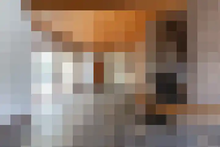 Elsmaathorst 37 Enschede thumbnail 14