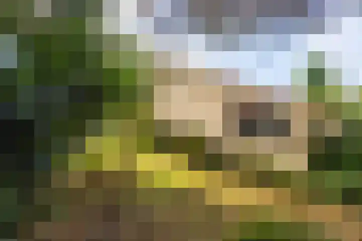 Elsmaathorst 37 Enschede thumbnail 38