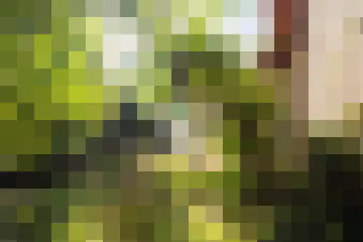 Elsmaathorst 37 Enschede thumbnail 39