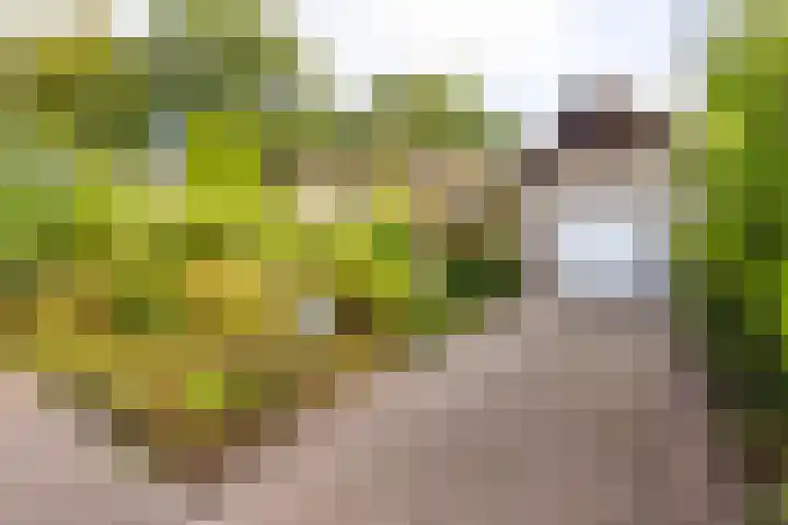 Elsmaathorst 37 Enschede thumbnail 4