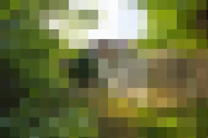Elsmaathorst 37 Enschede thumbnail 40