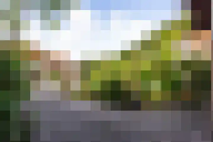 Elsmaathorst 37 Enschede thumbnail 41