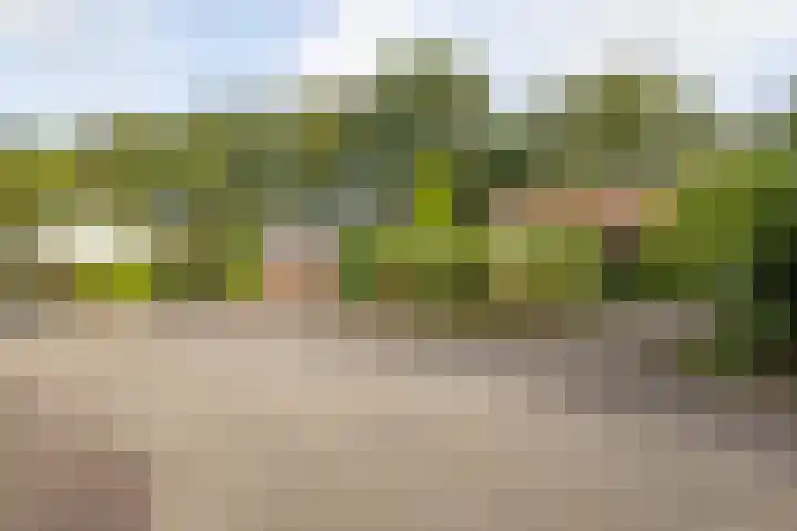 Elsmaathorst 37 Enschede thumbnail 5