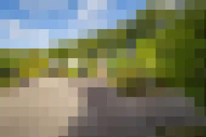 Elsmaathorst 37 Enschede thumbnail 6