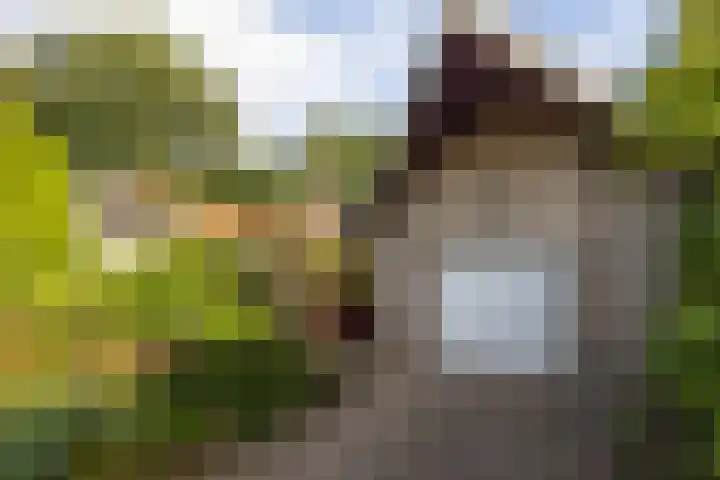 Elsmaathorst 37 Enschede thumbnail 7