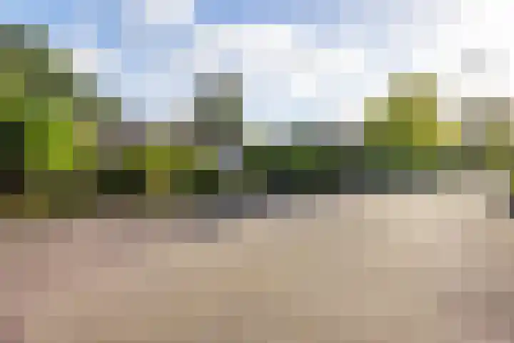 Elsmaathorst 37 Enschede thumbnail 8