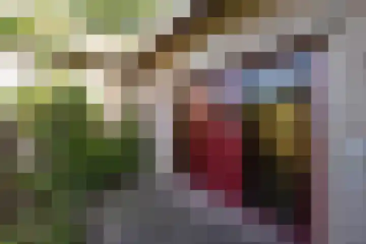 Elsmaathorst 37 Enschede thumbnail 9