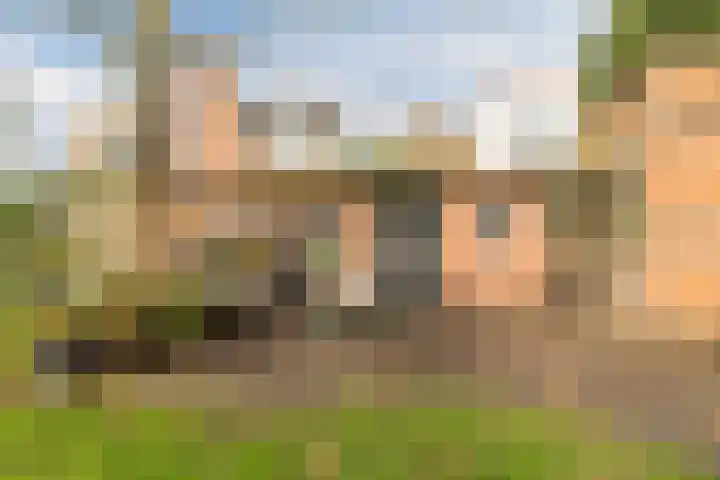 Elsstraat 79 Breda thumbnail 37
