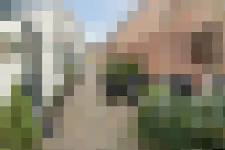 Elsstraat 79 Breda thumbnail 5