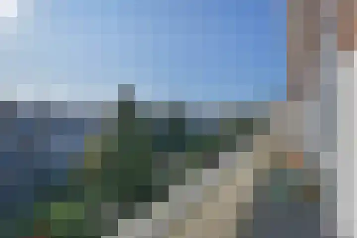 Team foto van Elst&co Makelaars