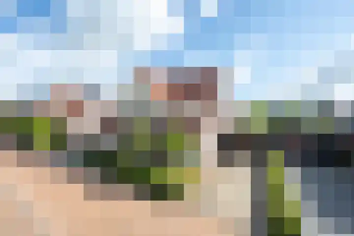 Elstar 4 Buren thumbnail 11