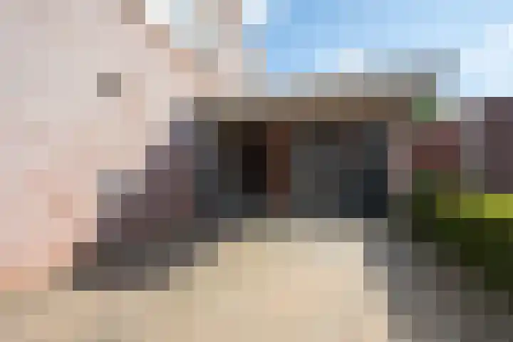 Elstar 4 Buren thumbnail 15