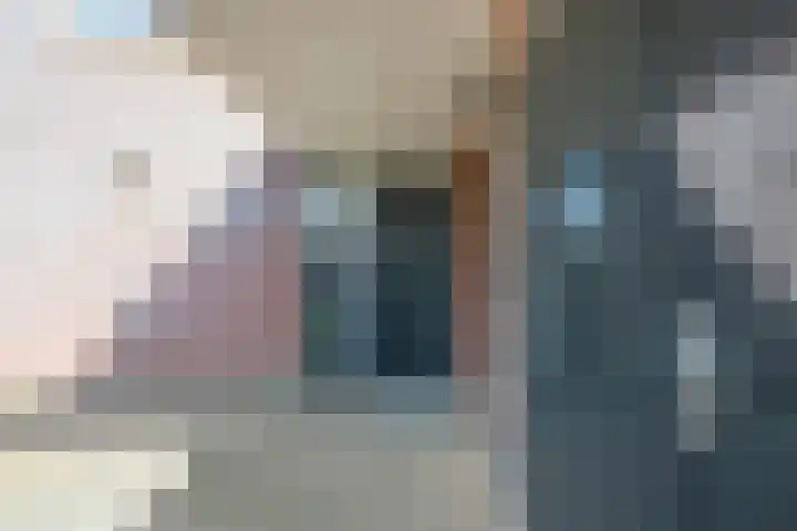 Elstar 4 Buren thumbnail 17