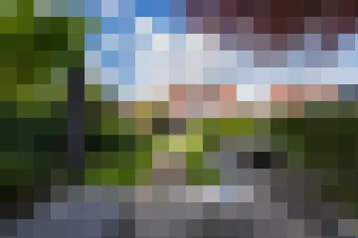 Elstar 4 Buren foto 2