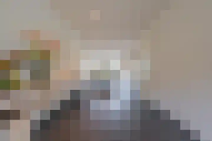 Elstar 4 Buren thumbnail 26