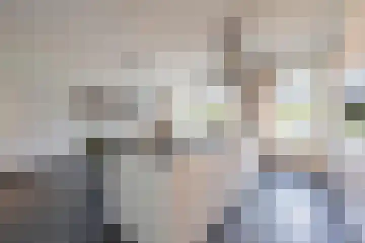 Elstar 4 Buren thumbnail 30