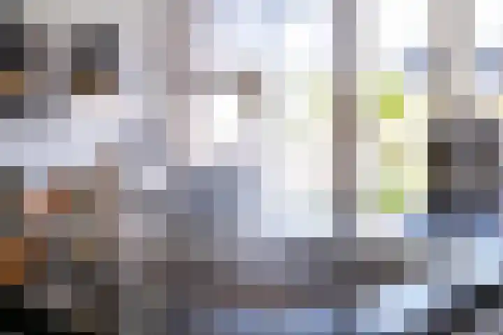 Elstar 4 Buren thumbnail 31