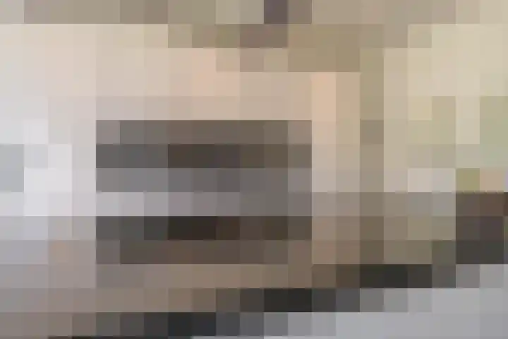 Elstar 4 Buren thumbnail 34