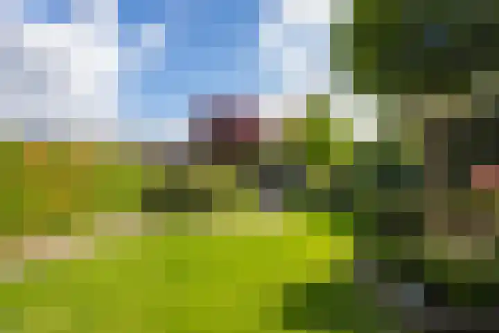 Elstar 4 Buren thumbnail 37