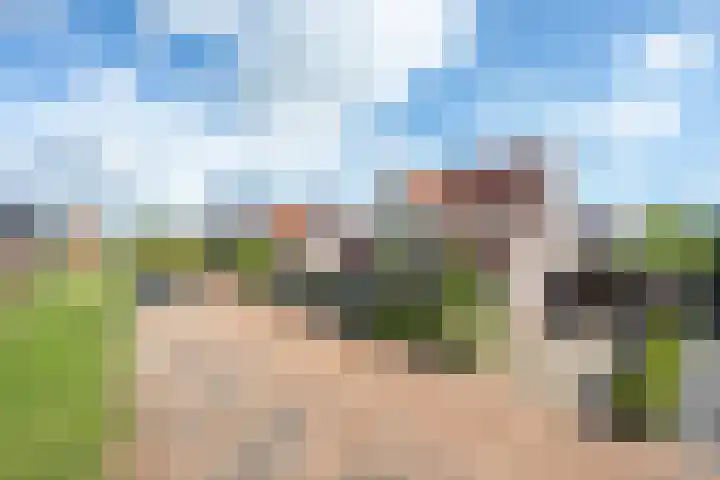 Elstar 4 Buren thumbnail 4