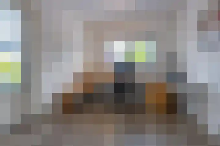 Elstar 4 Buren thumbnail 40